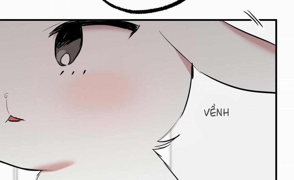 Đàn Thỏ Của Habibi 36 trang 18