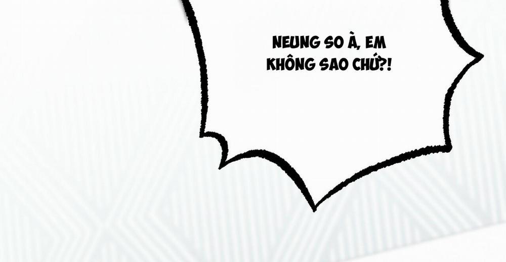 Đàn Thỏ Của Habibi 36 trang 185