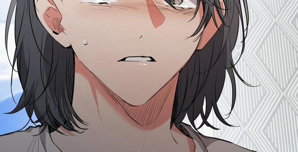 Đàn Thỏ Của Habibi 36 trang 202