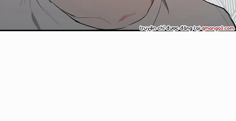 Đàn Thỏ Của Habibi 36 trang 203