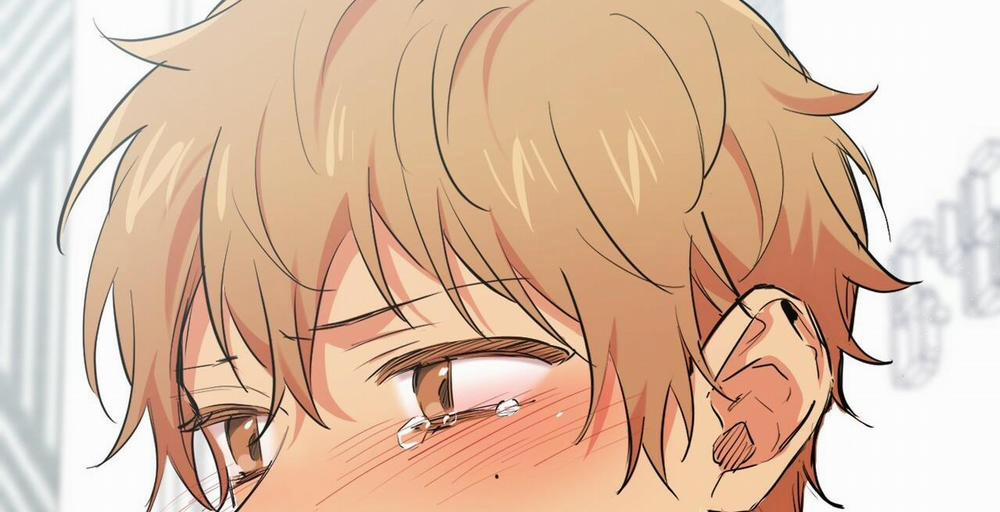 Đàn Thỏ Của Habibi 36 trang 212