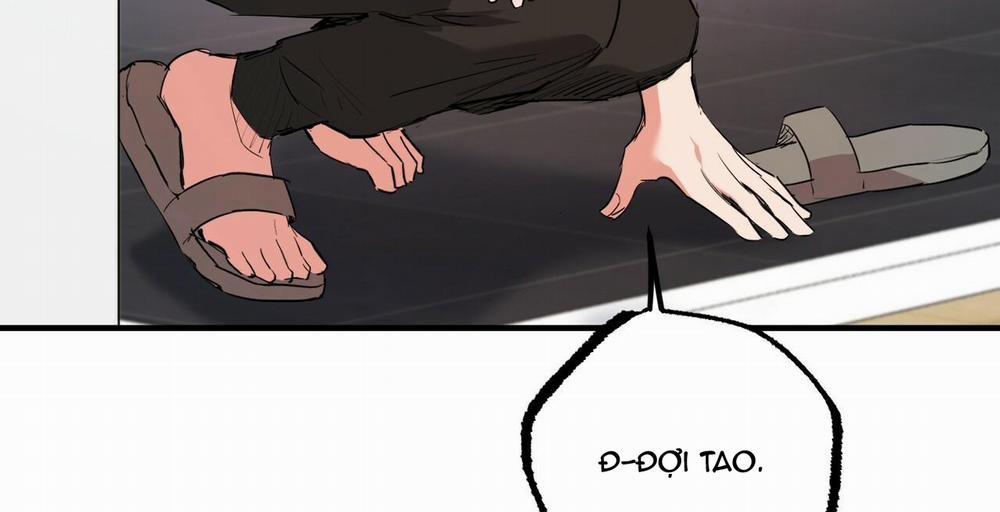 Đàn Thỏ Của Habibi 36 trang 221