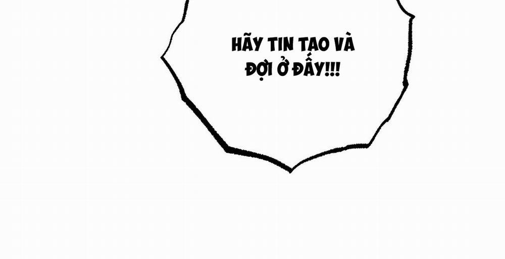 Đàn Thỏ Của Habibi 36 trang 226