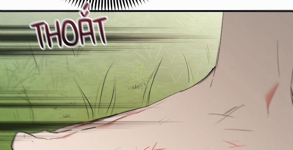 Đàn Thỏ Của Habibi 36 trang 229