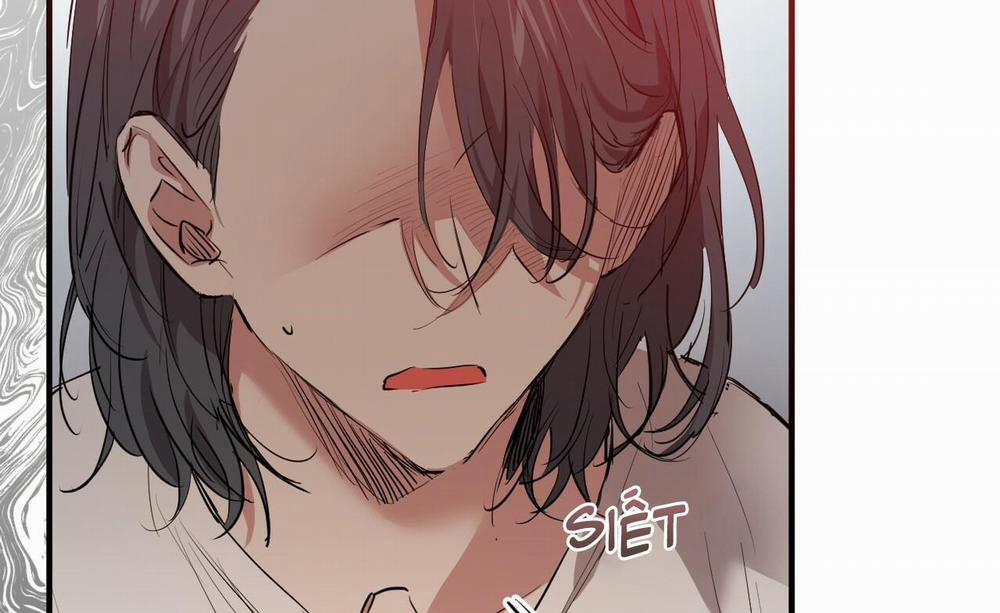 Đàn Thỏ Của Habibi 36 trang 23