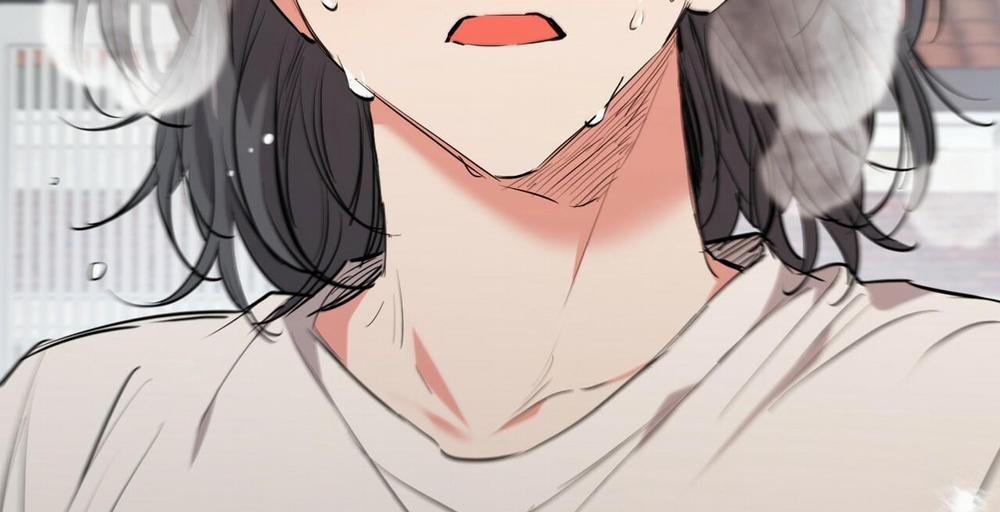 Đàn Thỏ Của Habibi 36 trang 241