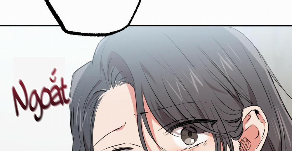 Đàn Thỏ Của Habibi 36 trang 255