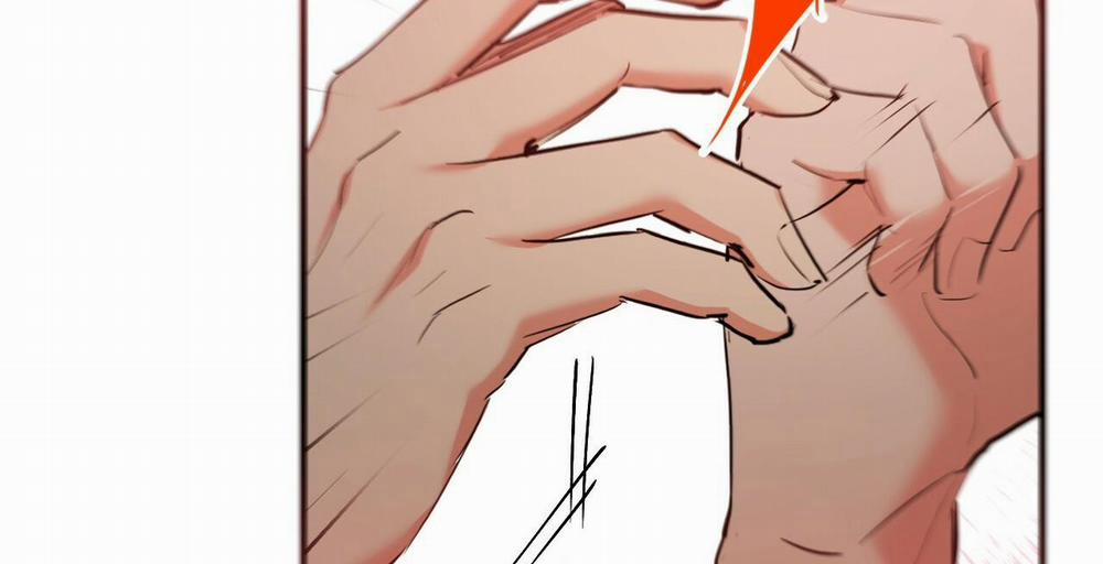 Đàn Thỏ Của Habibi 36 trang 291