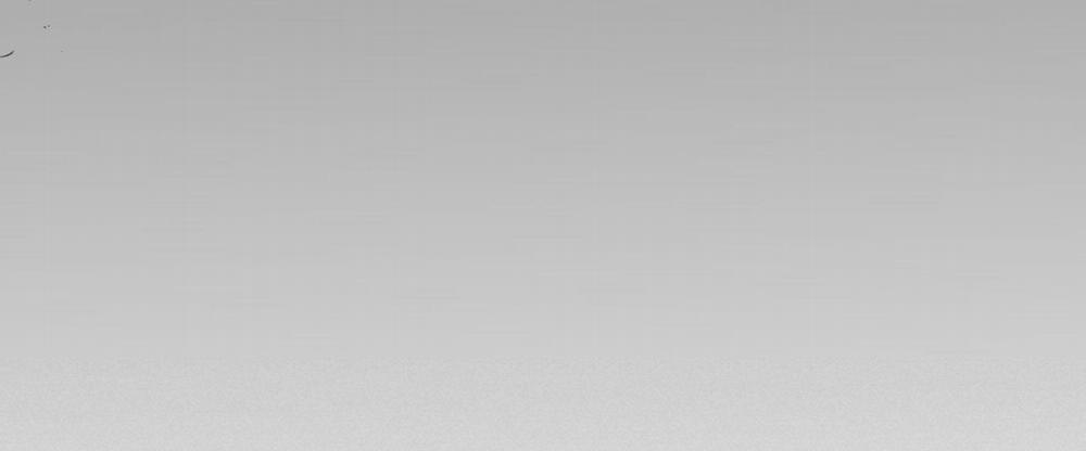 Đàn Thỏ Của Habibi 36 trang 33