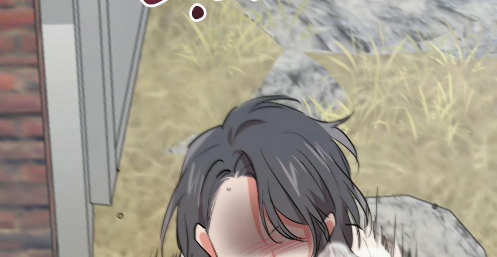 Đàn Thỏ Của Habibi 36 trang 336