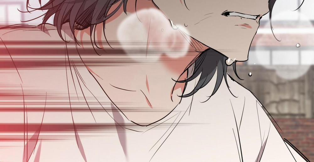 Đàn Thỏ Của Habibi 36 trang 342