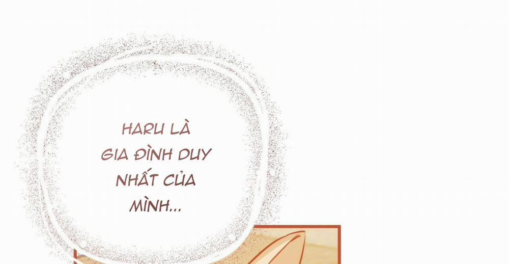 Đàn Thỏ Của Habibi 36 trang 344