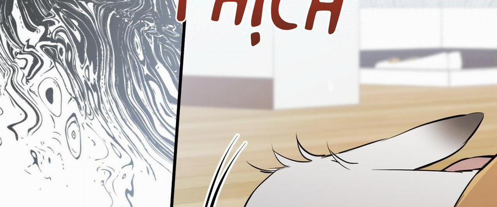 Đàn Thỏ Của Habibi 36 trang 36