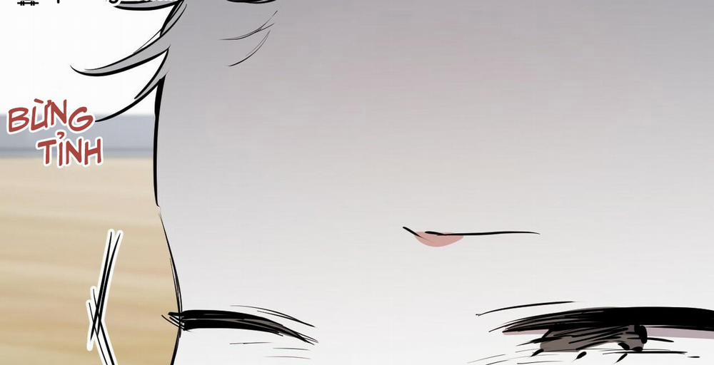 Đàn Thỏ Của Habibi 36 trang 62