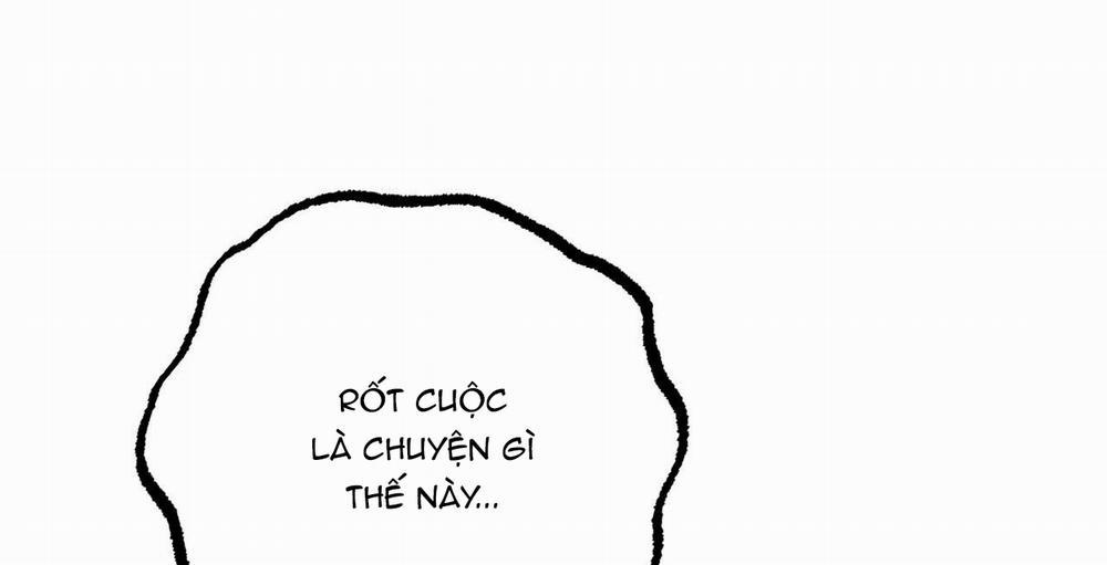 Đàn Thỏ Của Habibi 36 trang 65