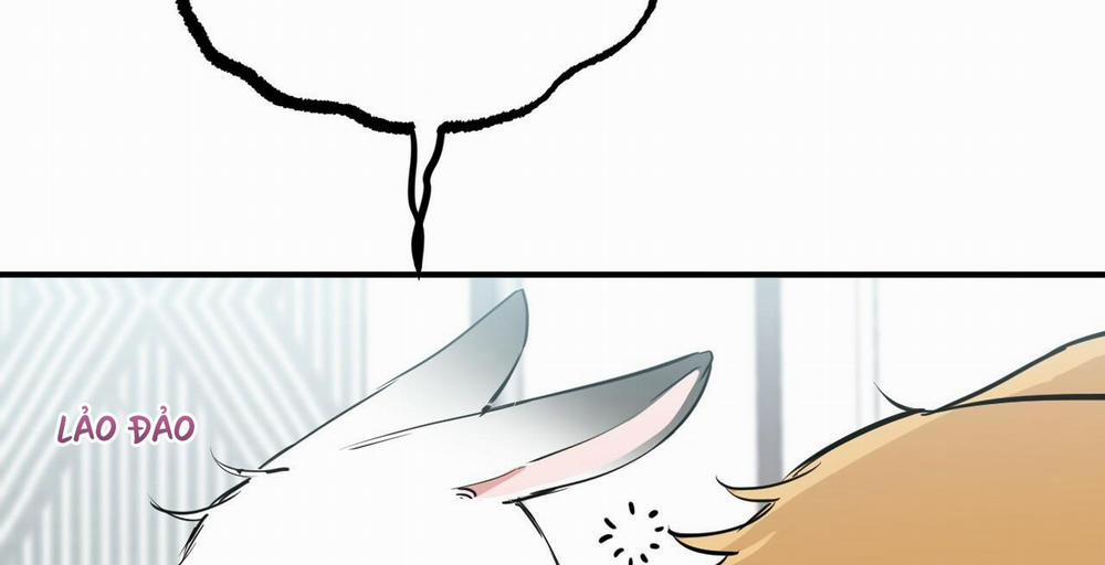 Đàn Thỏ Của Habibi 36 trang 66