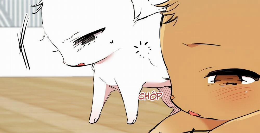 Đàn Thỏ Của Habibi 36 trang 67