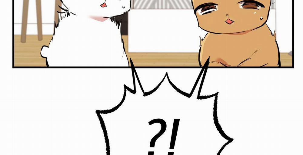 Đàn Thỏ Của Habibi 36 trang 72