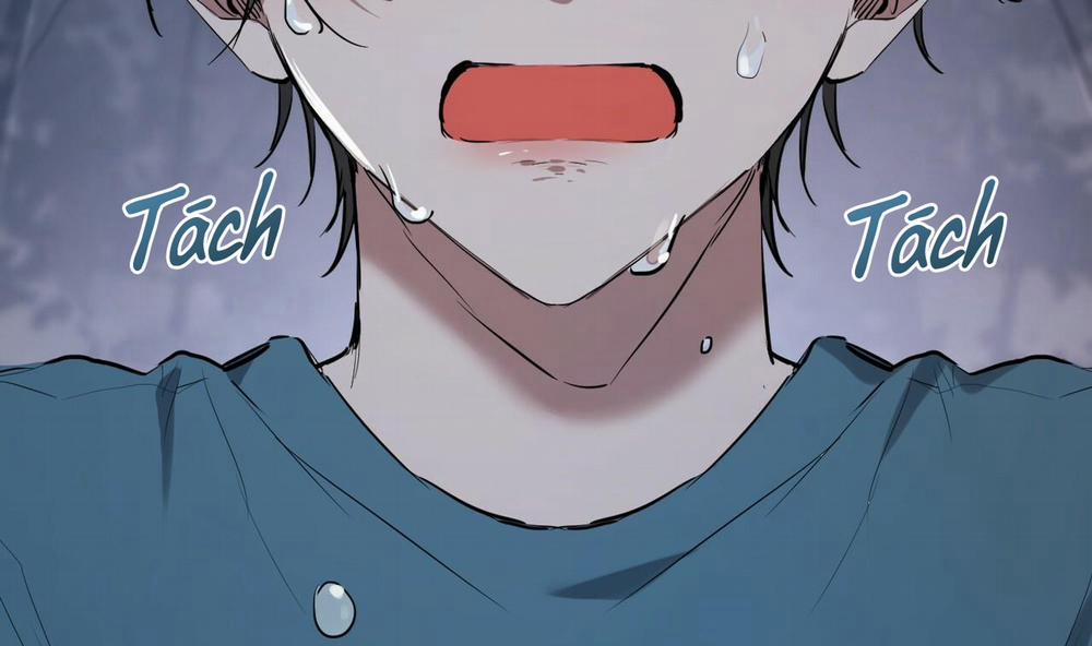 Đàn Thỏ Của Habibi 37 trang 101