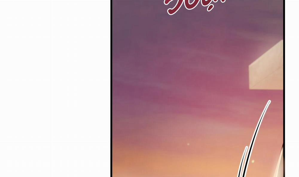 Đàn Thỏ Của Habibi 37 trang 119