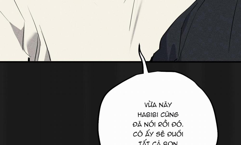 Đàn Thỏ Của Habibi 37 trang 13