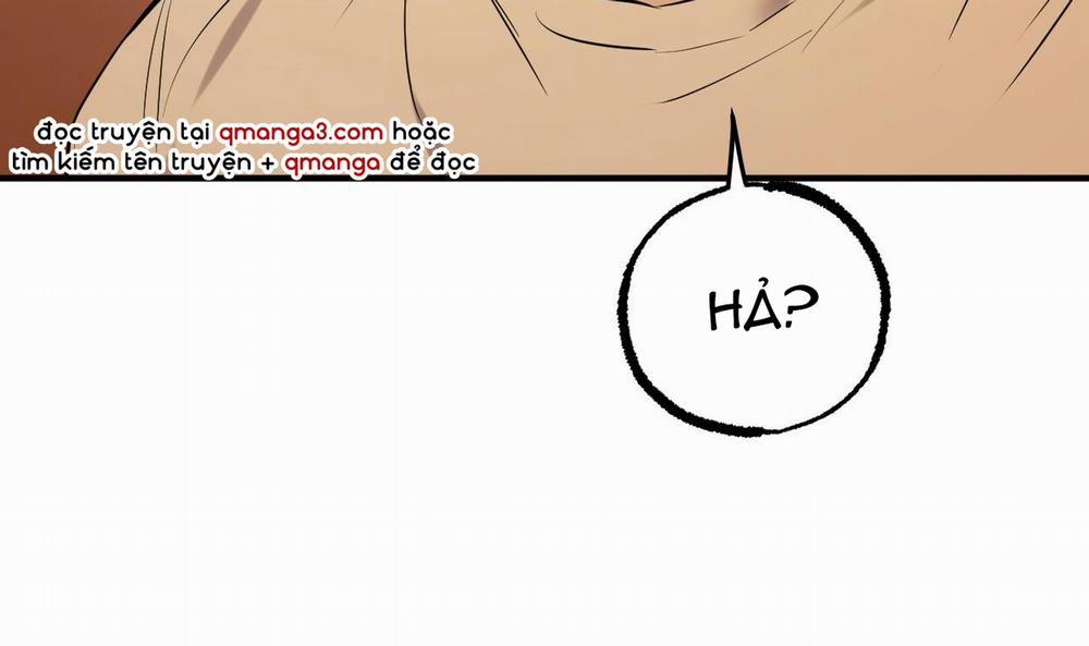 Đàn Thỏ Của Habibi 37 trang 144