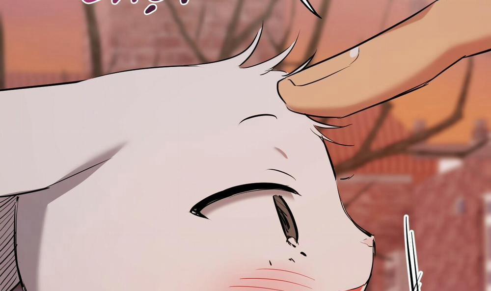 Đàn Thỏ Của Habibi 37 trang 153