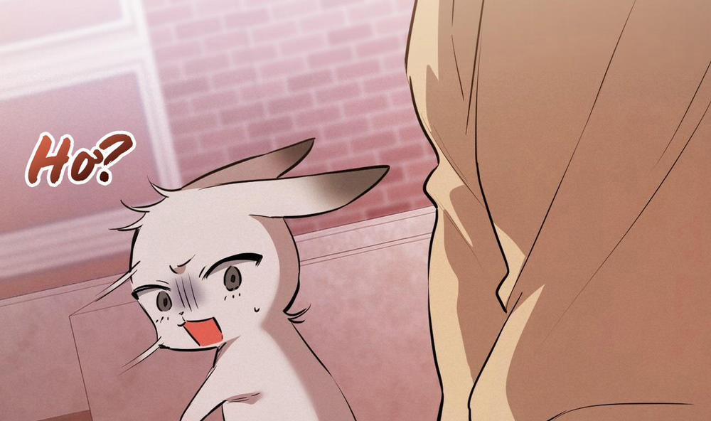 Đàn Thỏ Của Habibi 37 trang 166