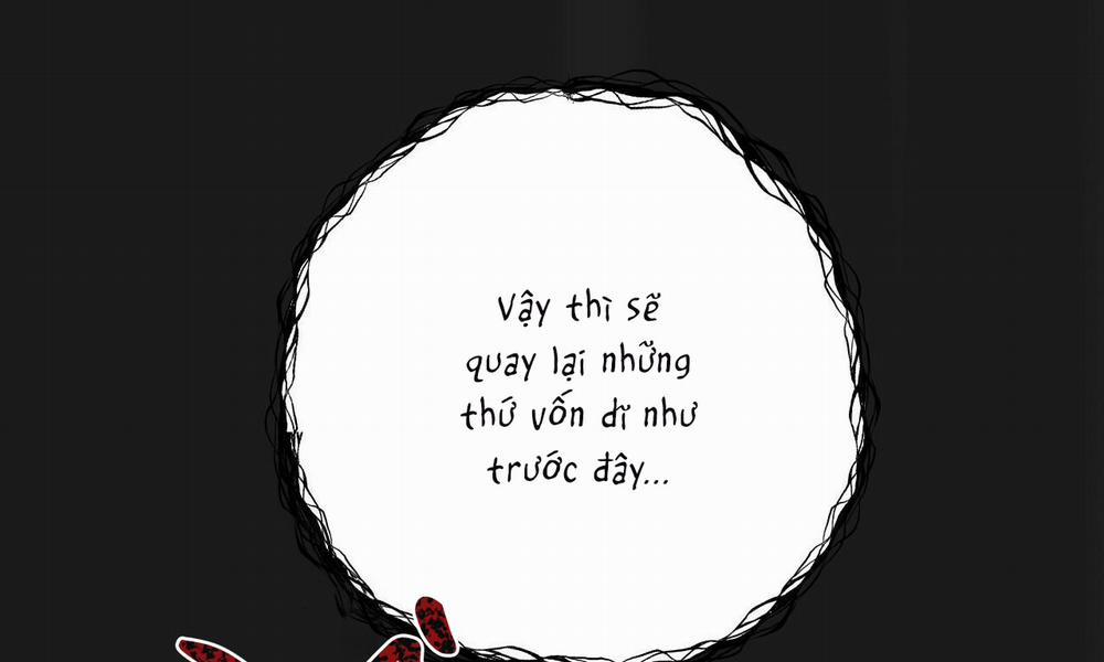 Đàn Thỏ Của Habibi 37 trang 19