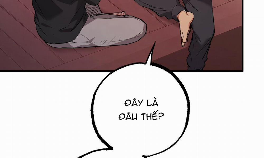 Đàn Thỏ Của Habibi 37 trang 190