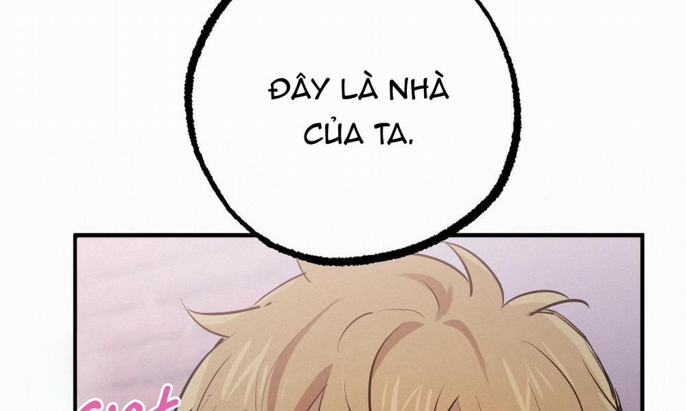 Đàn Thỏ Của Habibi 37 trang 199