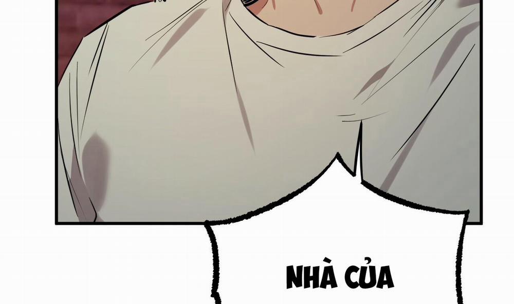 Đàn Thỏ Của Habibi 37 trang 201