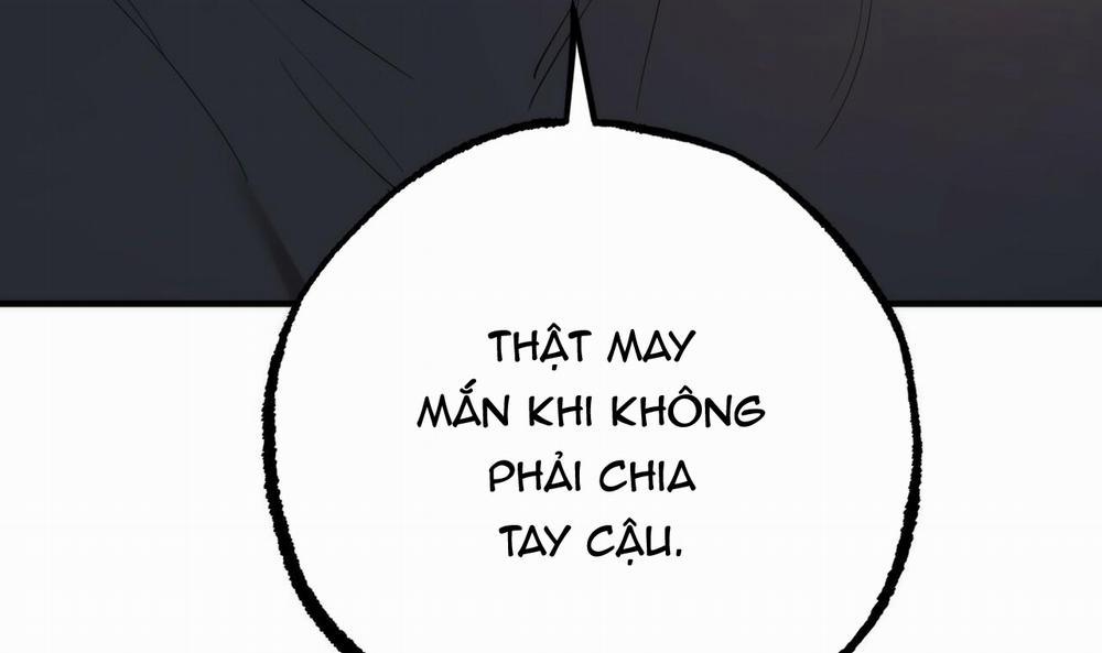 Đàn Thỏ Của Habibi 37 trang 244