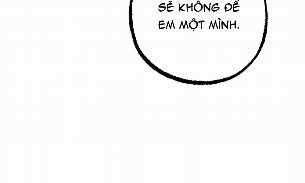 Đàn Thỏ Của Habibi 37 trang 269