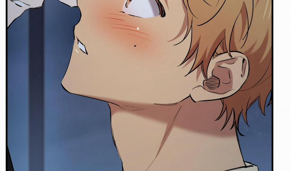 Đàn Thỏ Của Habibi 37 trang 276