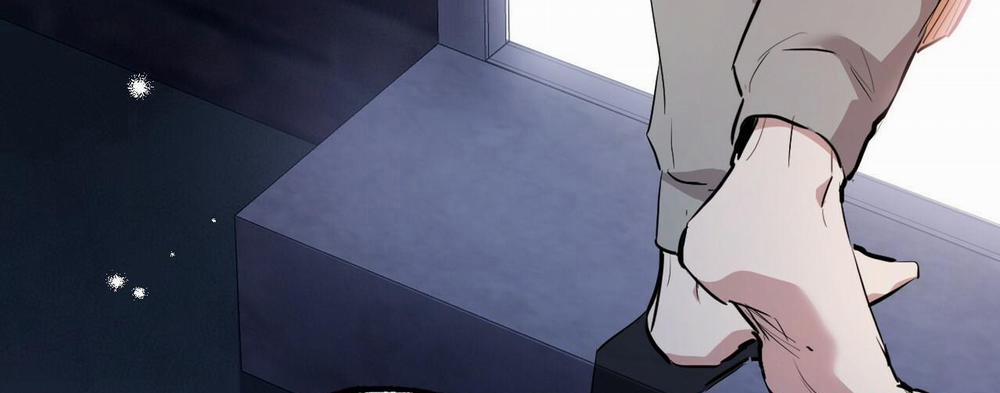 Đàn Thỏ Của Habibi 37 trang 310