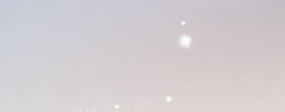 Đàn Thỏ Của Habibi 37 trang 318