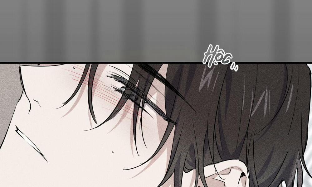 Đàn Thỏ Của Habibi 37 trang 6