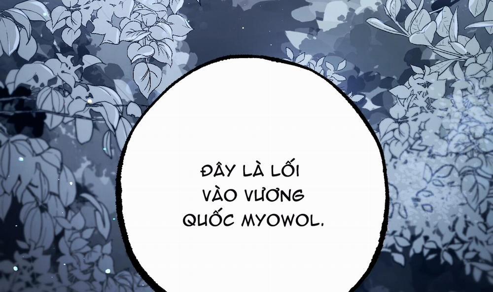 Đàn Thỏ Của Habibi 37 trang 64