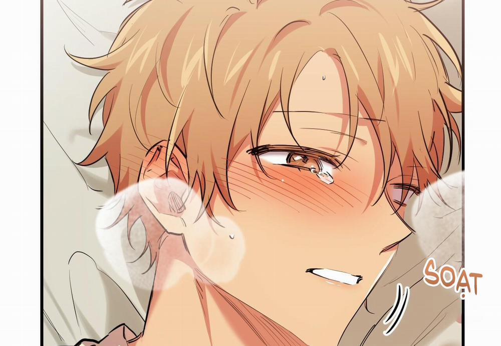 Đàn Thỏ Của Habibi 38 trang 102