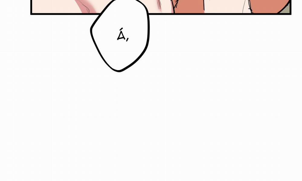 Đàn Thỏ Của Habibi 38 trang 11