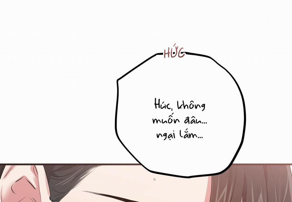 Đàn Thỏ Của Habibi 38 trang 117