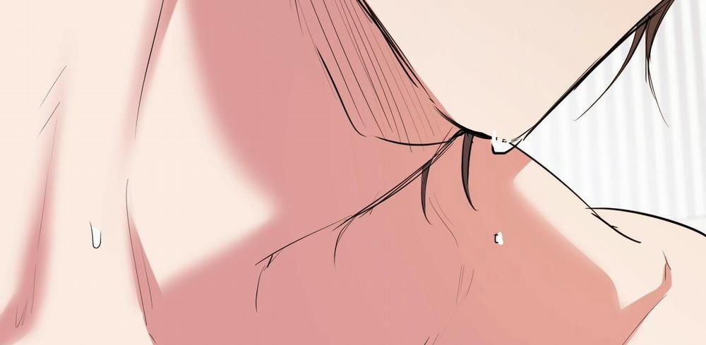 Đàn Thỏ Của Habibi 38 trang 136