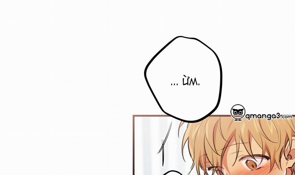 Đàn Thỏ Của Habibi 38 trang 156