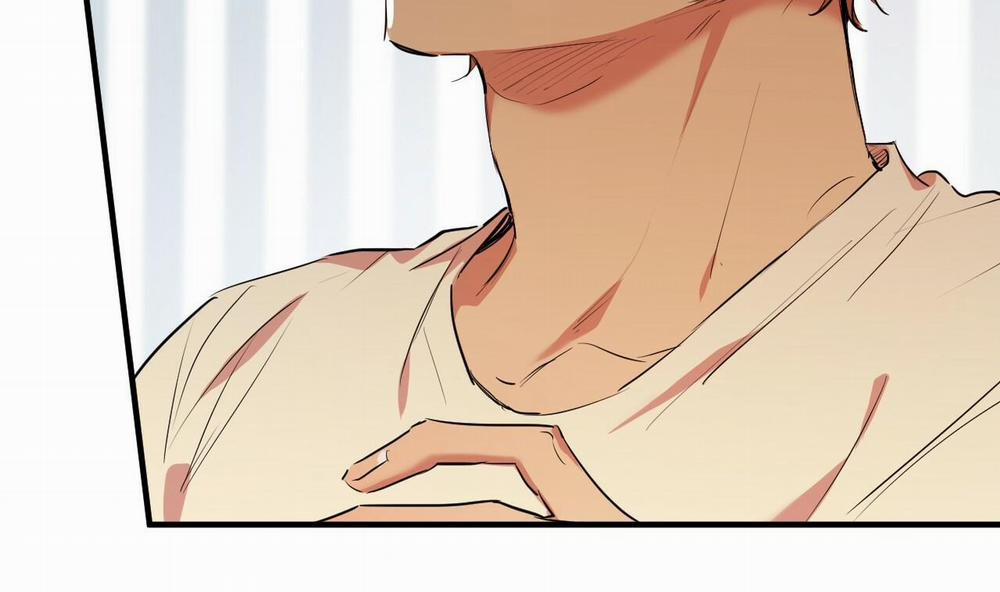 Đàn Thỏ Của Habibi 38 trang 172