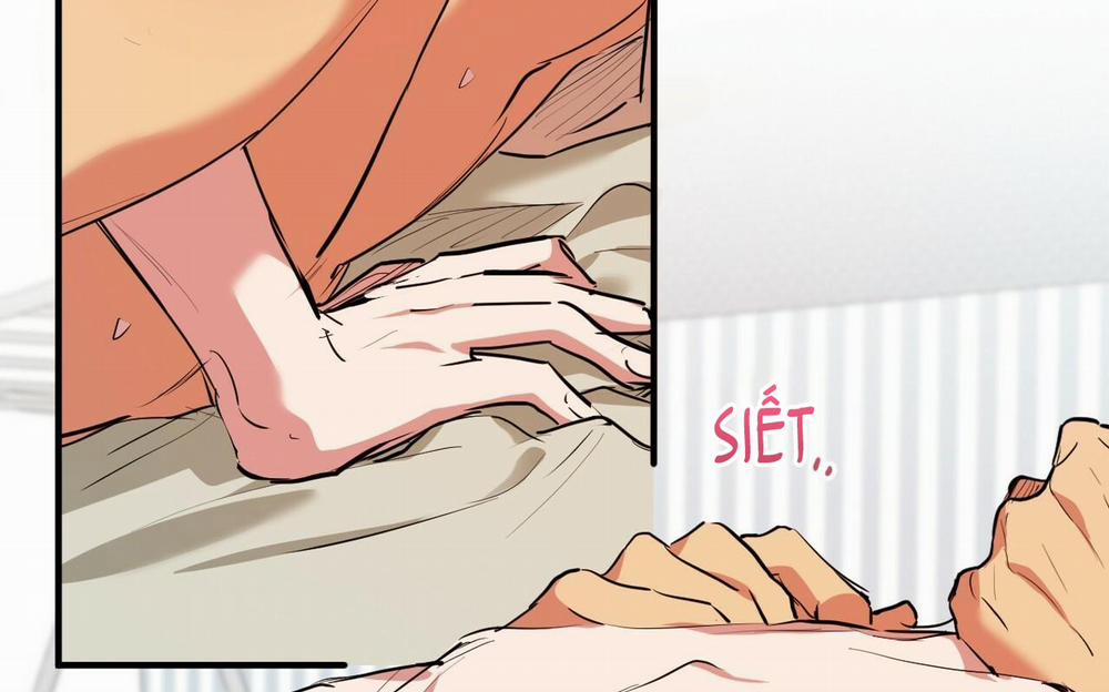 Đàn Thỏ Của Habibi 38 trang 178