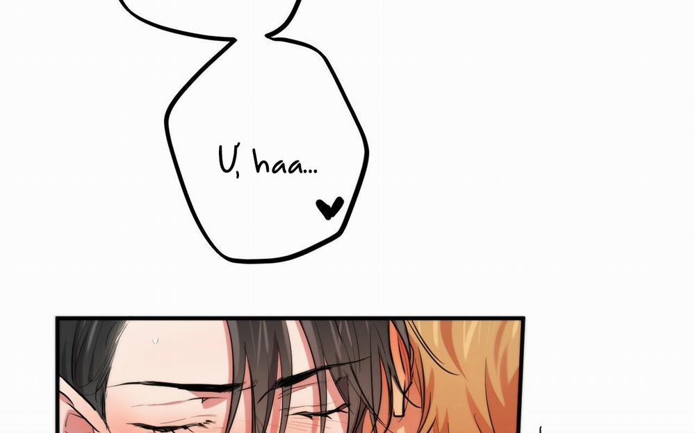 Đàn Thỏ Của Habibi 38 trang 197