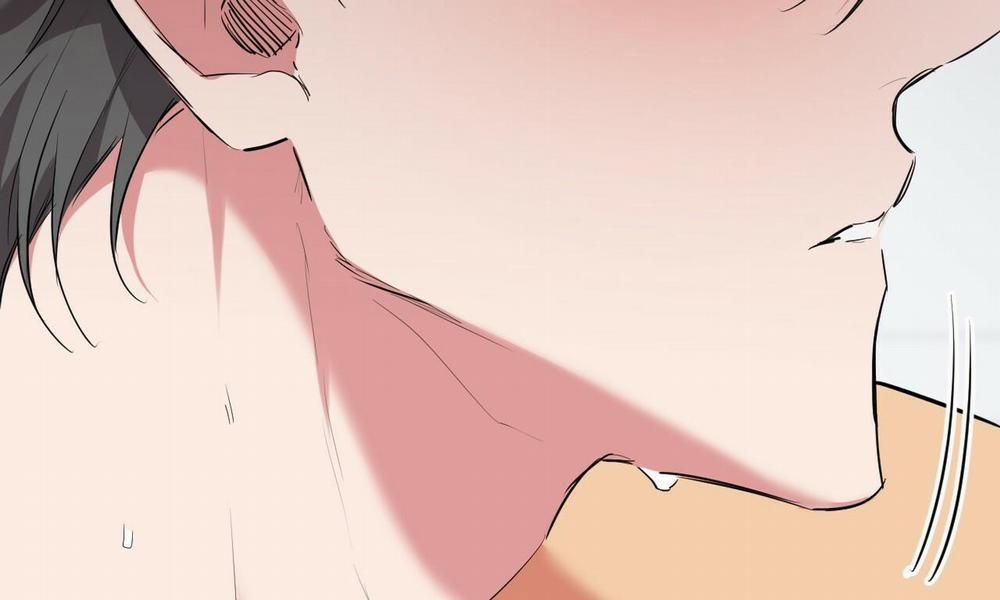 Đàn Thỏ Của Habibi 38 trang 21