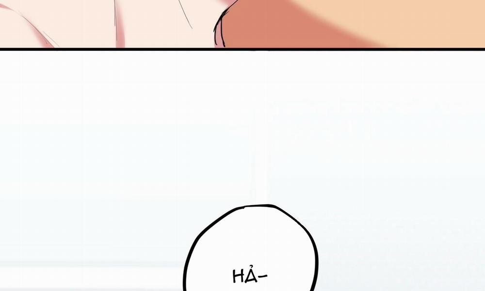 Đàn Thỏ Của Habibi 38 trang 22