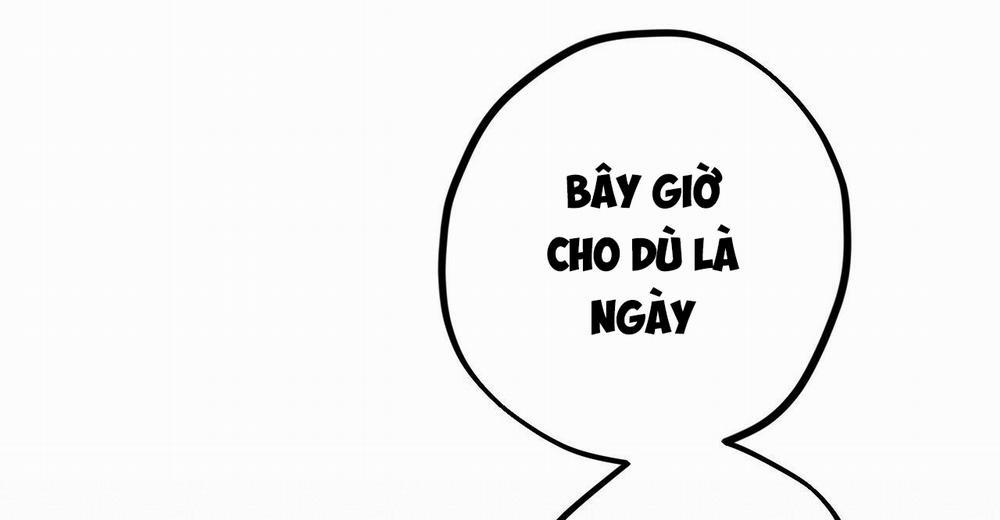 Đàn Thỏ Của Habibi 38 trang 251